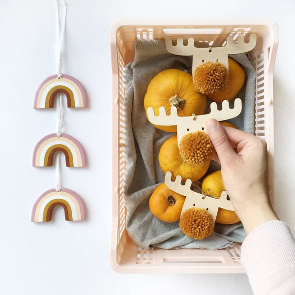 Autumnal Frank in Mustard gathered in a crate with harvested squashes