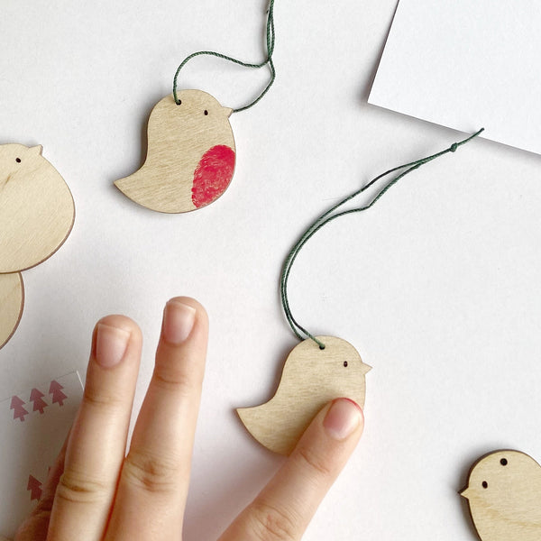 Finger Print ROBIN Kit