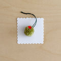 Mini Olive pom-pom decoration