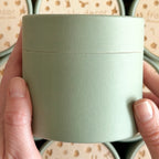 The Collectors box