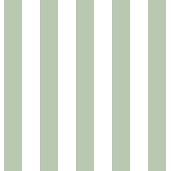 Stripe Mini Card in Sage Green