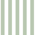Stripe Mini Card in Sage Green